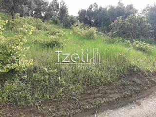 Αγροτεμάχια 1.500 τ.μ. για πώληση, Αχαΐα, Ρίο-thumb-21