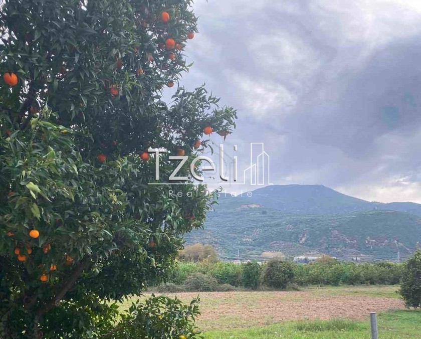 Land plot 1.500sqm for sale-Aigio » Digeliotika
