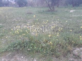 Οικόπεδο 1.500 τ.μ. για πώληση, Αχαΐα, Αίγιο-thumb-10