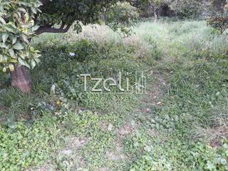 Οικόπεδο 1.500 τ.μ. για πώληση, Αχαΐα, Αίγιο-thumb-13