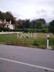 Οικόπεδο 1.500 τ.μ. για πώληση, Αχαΐα, Αίγιο-thumb-17