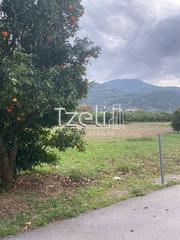 Οικόπεδο 1.500 τ.μ. για πώληση, Αχαΐα, Αίγιο-thumb-18