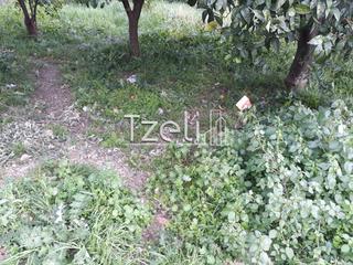 Οικόπεδο 1.500 τ.μ. για πώληση, Αχαΐα, Αίγιο-thumb-20