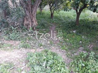 Οικόπεδο 1.500 τ.μ. για πώληση, Αχαΐα, Αίγιο-thumb-21