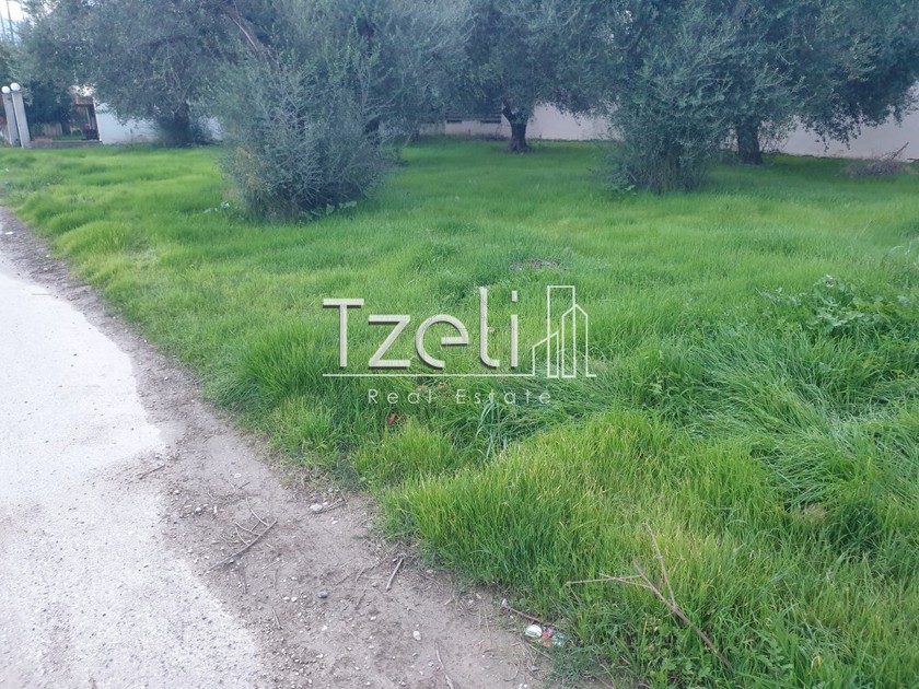 Land plot 460sqm for sale-Patra » Zarouchleika
