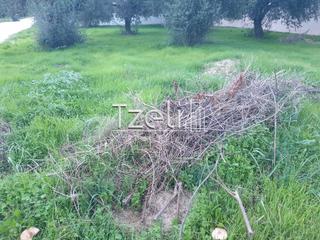 Οικόπεδο 460 τ.μ. για πώληση, Αχαΐα, Πάτρα-thumb-2