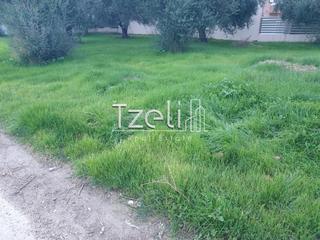 Οικόπεδο 460 τ.μ. για πώληση, Αχαΐα, Πάτρα-thumb-6
