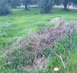 Οικόπεδο 460 τ.μ. για πώληση, Αχαΐα, Πάτρα-thumb-14