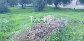 Οικόπεδο 460 τ.μ. για πώληση, Αχαΐα, Πάτρα-thumb-21