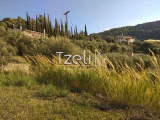 Οικόπεδο 12.000 τ.μ. για πώληση, Αχαΐα, Ρίο-thumb-1