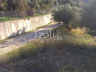 Οικόπεδο 12.000 τ.μ. για πώληση, Αχαΐα, Ρίο-thumb-3