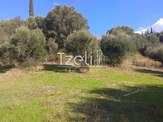 Οικόπεδο 12.000 τ.μ. για πώληση, Αχαΐα, Ρίο-thumb-7