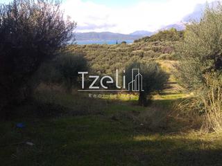 Οικόπεδο 12.000 τ.μ. για πώληση, Αχαΐα, Ρίο-thumb-9