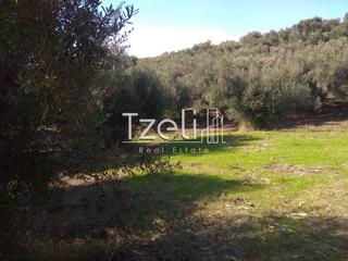 Οικόπεδο 12.000 τ.μ. για πώληση, Αχαΐα, Ρίο-thumb-10