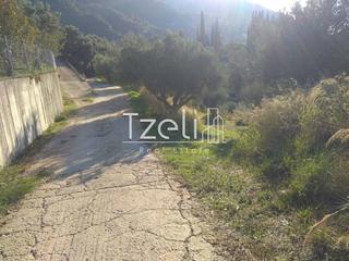 Οικόπεδο 12.000 τ.μ. για πώληση, Αχαΐα, Ρίο-thumb-15