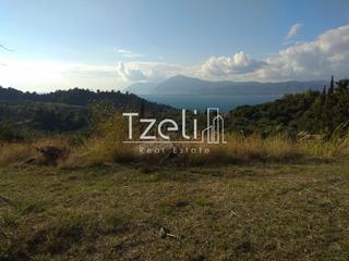 Οικόπεδο 12.000 τ.μ. για πώληση, Αχαΐα, Ρίο-thumb-17
