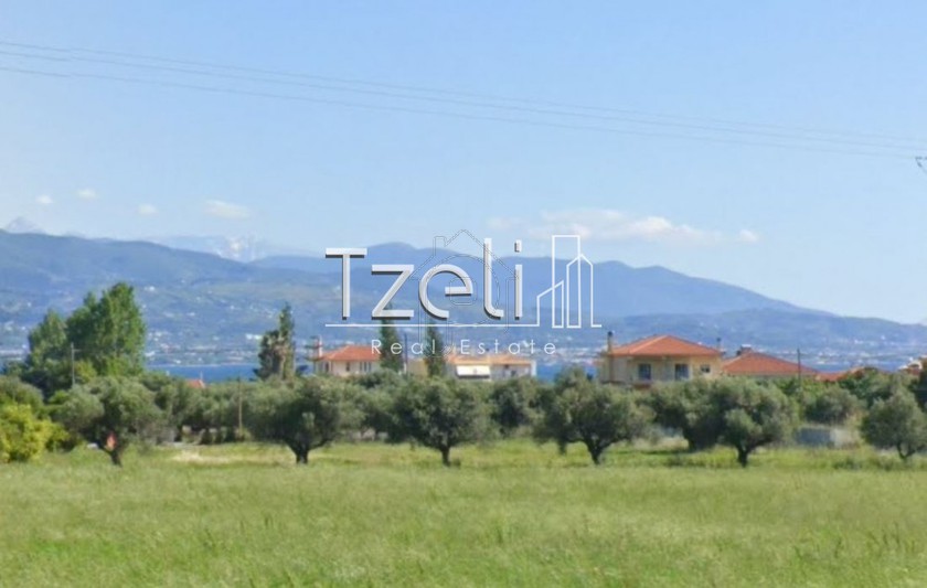 Οικόπεδο 2.000 τ.μ. για πώληση