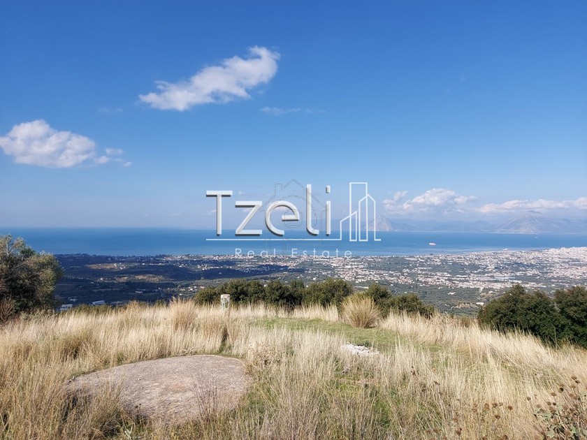 Land plot 5.000sqm for sale-Messatida » Kallitheokampos