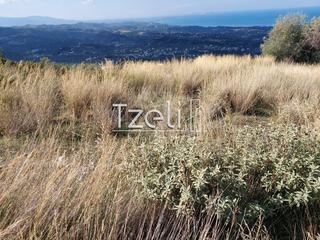 Οικόπεδο 5.000 τ.μ. για πώληση, Αχαΐα, Μεσσατίδα-thumb-1