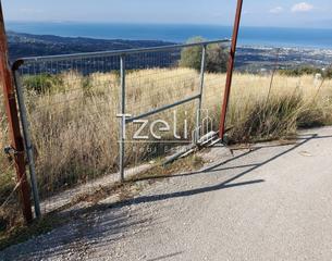 Οικόπεδο 5.000 τ.μ. για πώληση, Αχαΐα, Μεσσατίδα-thumb-2