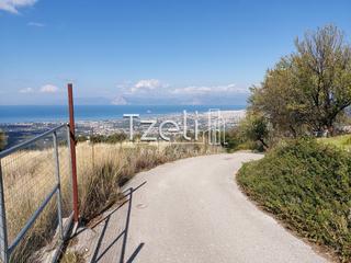 Οικόπεδο 5.000 τ.μ. για πώληση, Αχαΐα, Μεσσατίδα-thumb-11