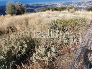Οικόπεδο 5.000 τ.μ. για πώληση, Αχαΐα, Μεσσατίδα-thumb-13