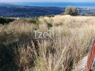 Οικόπεδο 5.000 τ.μ. για πώληση, Αχαΐα, Μεσσατίδα-thumb-17