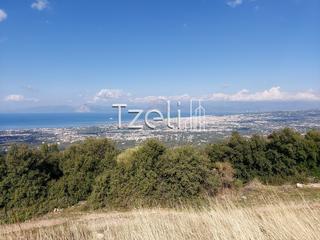 Οικόπεδο 5.000 τ.μ. για πώληση, Αχαΐα, Μεσσατίδα-thumb-18