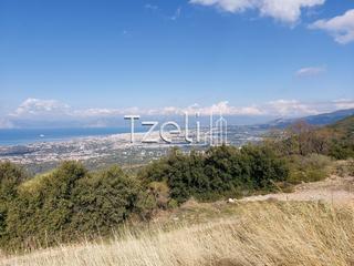 Οικόπεδο 5.000 τ.μ. για πώληση, Αχαΐα, Μεσσατίδα-thumb-24