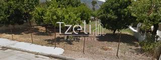 Οικόπεδο 1.024 τ.μ. για πώληση, Αχαΐα, Μεσσατίδα-thumb-14