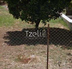 Οικόπεδο 1.024 τ.μ. για πώληση, Αχαΐα, Μεσσατίδα-thumb-16