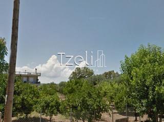 Οικόπεδο 1.024 τ.μ. για πώληση, Αχαΐα, Μεσσατίδα-thumb-17