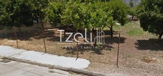 Οικόπεδο 1.024 τ.μ. για πώληση, Αχαΐα, Μεσσατίδα-thumb-21