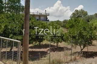 Οικόπεδο 1.024 τ.μ. για πώληση, Αχαΐα, Μεσσατίδα-thumb-23