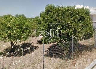 Οικόπεδο 1.024 τ.μ. για πώληση, Αχαΐα, Μεσσατίδα-thumb-24