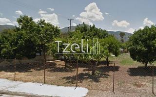 Οικόπεδο 1.024 τ.μ. για πώληση, Αχαΐα, Μεσσατίδα-thumb-25