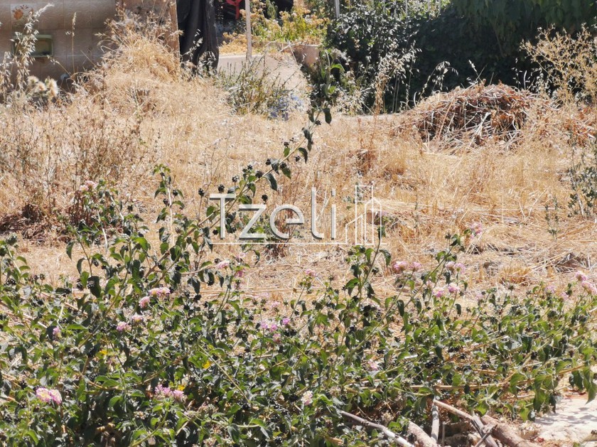 Land plot 700sqm for sale-Vrachneika » Monodendri