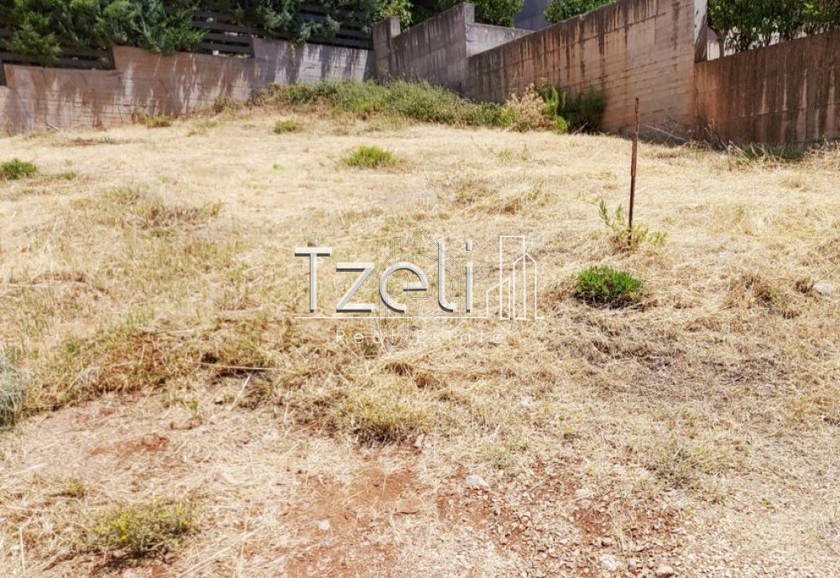Land plot 303sqm for sale-Messatida » Monodendri