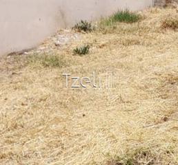 Οικόπεδο 303 τ.μ. για πώληση, Αχαΐα, Μεσσατίδα-thumb-19