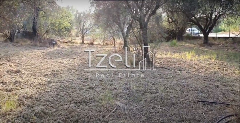 Land plot 1.821sqm for rent-Paralia » Mintilogli