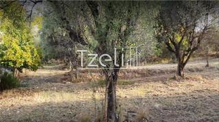 Οικόπεδο 1.821 τ.μ. για ενοικίαση, Αχαΐα, Παραλία-thumb-2