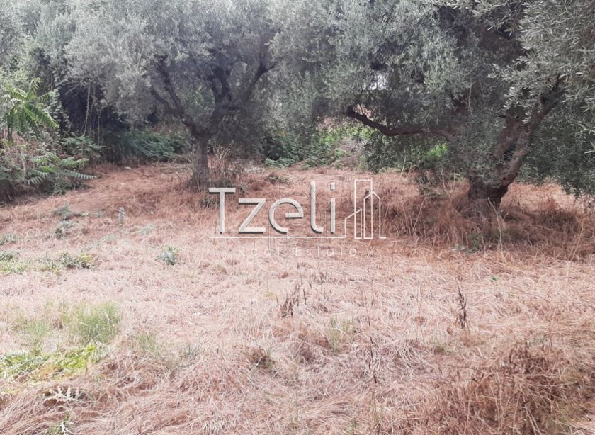 Land plot 2.001sqm for sale-Olenia » Achaiko