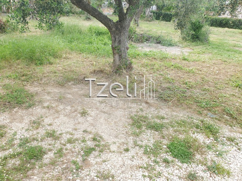 Land plot 300sqm for sale-Vrachneika » Monodendri