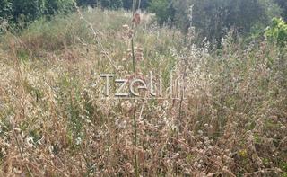 Οικόπεδο 300 τ.μ. για πώληση, Αχαΐα, Βραχναίικα-thumb-2