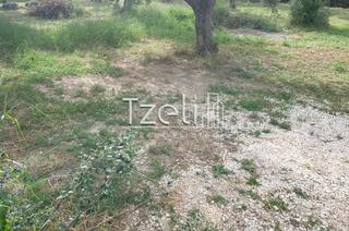 Οικόπεδο 300 τ.μ. για πώληση, Αχαΐα, Βραχναίικα-thumb-13