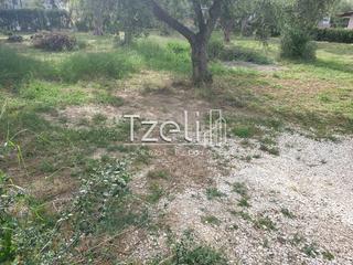 Οικόπεδο 300 τ.μ. για πώληση, Αχαΐα, Βραχναίικα-thumb-23