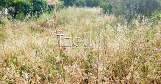 Οικόπεδο 585 τ.μ. για πώληση, Αχαΐα, Βραχναίικα-thumb-22