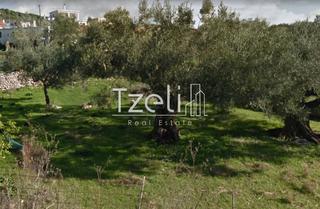 Οικόπεδο 840 τ.μ. για πώληση, Ζάκυνθος, Ελάτιο-thumb-3