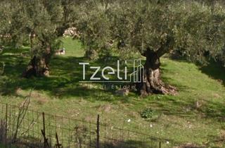 Οικόπεδο 840 τ.μ. για πώληση, Ζάκυνθος, Ελάτιο-thumb-5