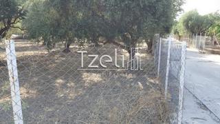 Οικόπεδο 300 τ.μ. για πώληση, Αχαΐα, Μεσσατίδα-thumb-3